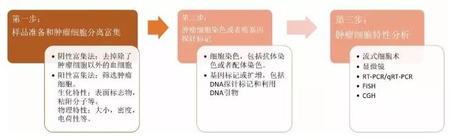 圖4.CTC的檢測(cè)流程圖