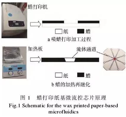 使用蠟打印加工紙基微流控芯片的方法，其基本原理見圖1。