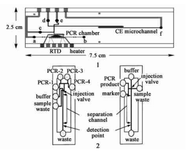 PCR 產物檢測電泳芯片