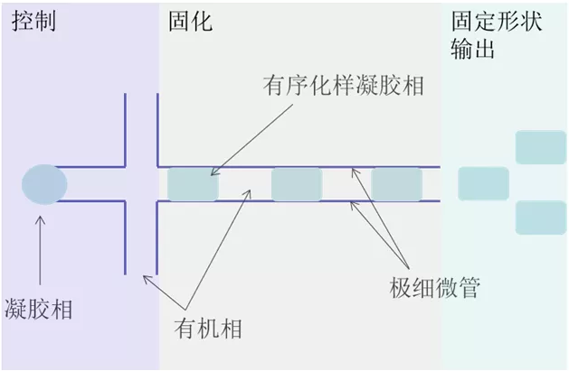 微流控技術合成凝膠原理簡圖